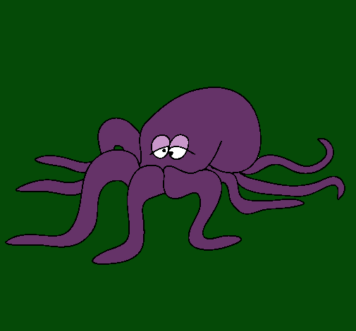 Pulpo