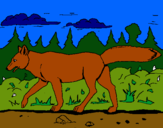Dibujo Coyote pintado por abee