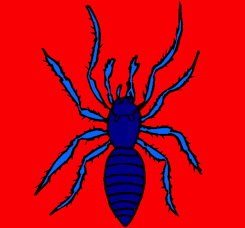 Araña tigre