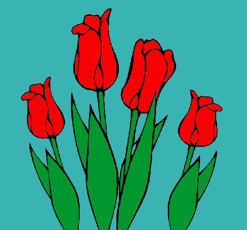 Tulipanes