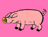 Dibujo Cerdo con pezuñas negras pintado por yanellyjudit