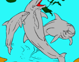 Dibujo Delfines jugando pintado por omarsitis