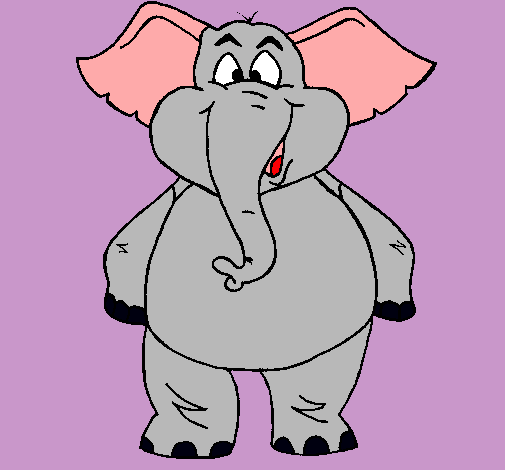 Elefante contento