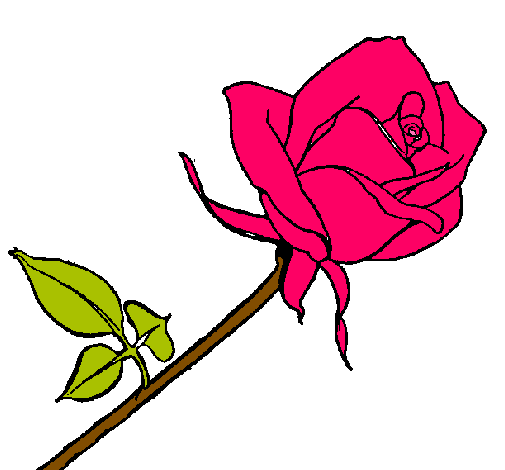 Dibujo Rosa pintado por aizahari 