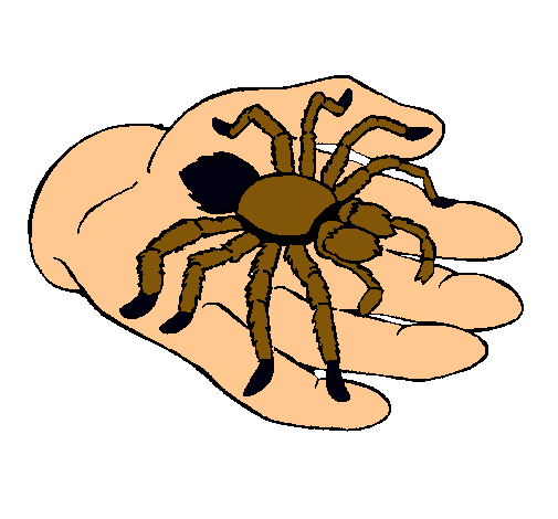 Tarántula