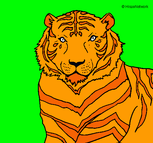Dibujo Tigre pintado por chiclebomb