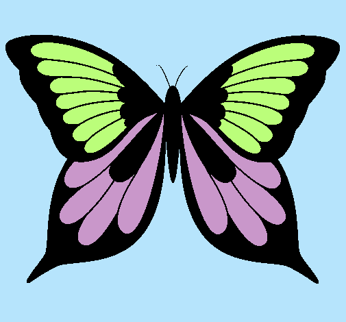 Mariposa