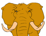 Dibujo Elefante africano pintado por ferjudisa