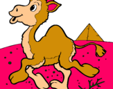 Dibujo Camello pintado por aimesita