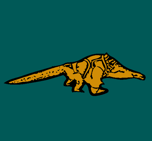 Crocodile