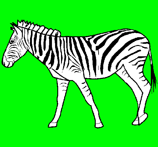 Dibujo Cebra pintado por chiclebomb