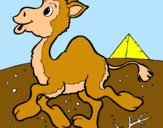 Dibujo Camello pintado por 555666888000