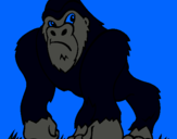 Dibujo Gorila pintado por martinsote