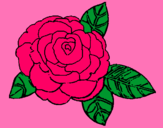 Dibujo Rosa pintado por TVETT