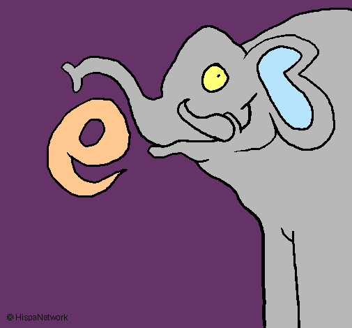 Elefante