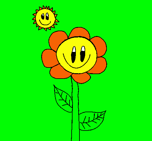 Sol y flor