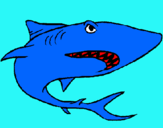 Dibujo Tiburón pintado por yossse