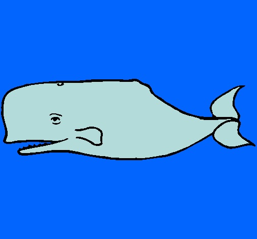 Ballena azul