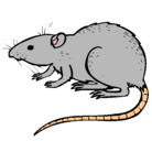 Dibujo Rata subterráena pintado por rata