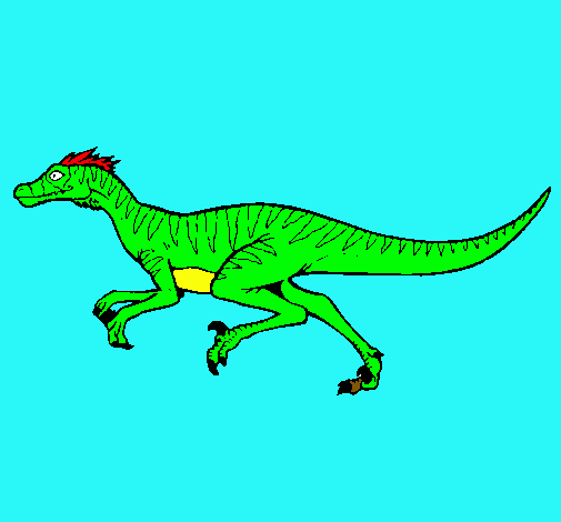 Velociraptor