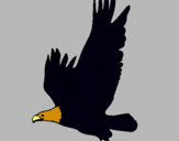 Dibujo Águila volando pintado por kevinnn