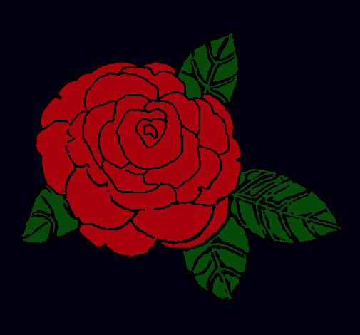 Rosa