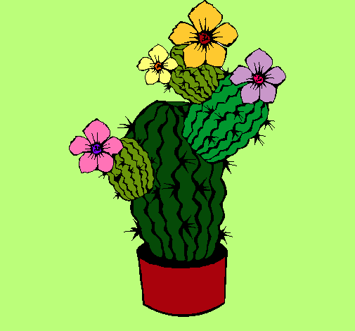 Flores de cactus