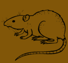 Dibujo Rata subterráena pintado por Ivis