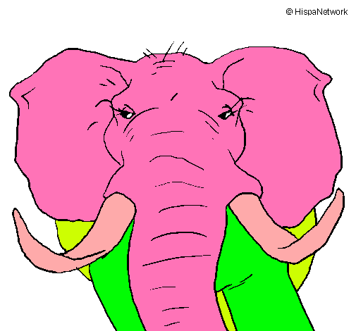 Dibujo Elefante africano pintado por Ivis