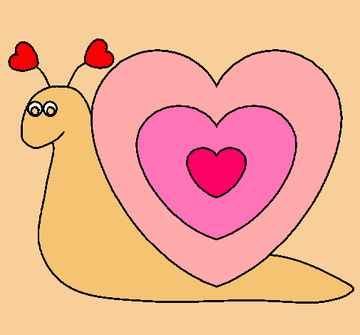 Caracol corazón