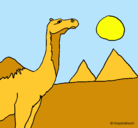 Dibujo Camello pintado por linduraita