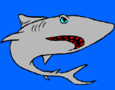 Dibujo Tiburón pintado por tiburo