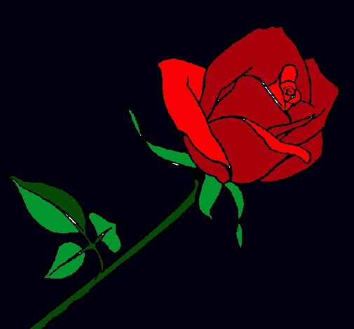 Rosa