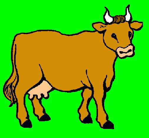 Vaca