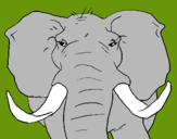 Dibujo Elefante africano pintado por tira
