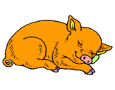 Dibujo Cerdo durmiendo pintado por marcos768543