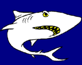 Dibujo Tiburón pintado por josephduque