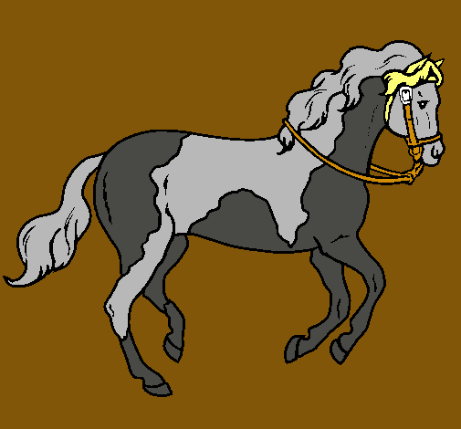 Caballo 5