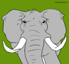 Dibujo Elefante africano pintado por Amand