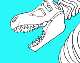 Dibujo Esqueleto tiranosaurio rex pintado por oooooooooooo