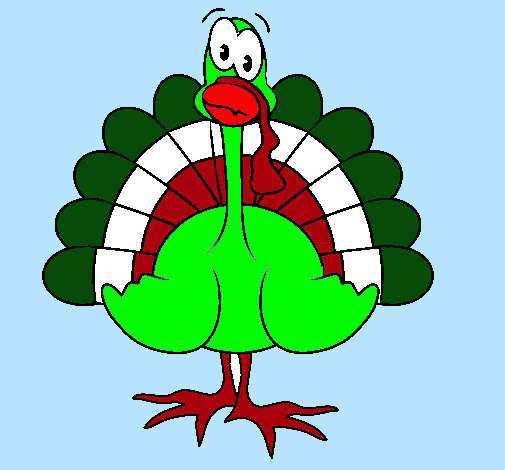 Pavo