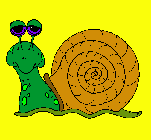 Caracol