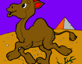 Dibujo Camello pintado por jazi