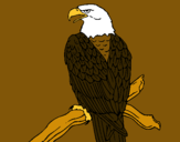Dibujo Águila en una rama pintado por aigel