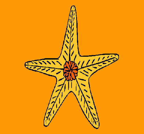 Estrella de mar