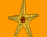 Dibujo Estrella de mar pintado por matapalomas