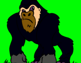 Dibujo Gorila pintado por manolo132089
