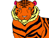 Dibujo Tigre pintado por oooooooooooo