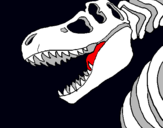 Dibujo Esqueleto tiranosaurio rex pintado por MATAPALOMAS