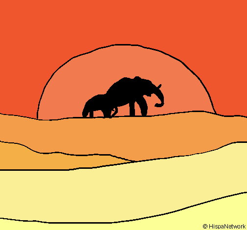 Elefante en el amanecer